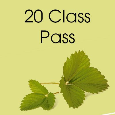 20ClassPass.jpg
