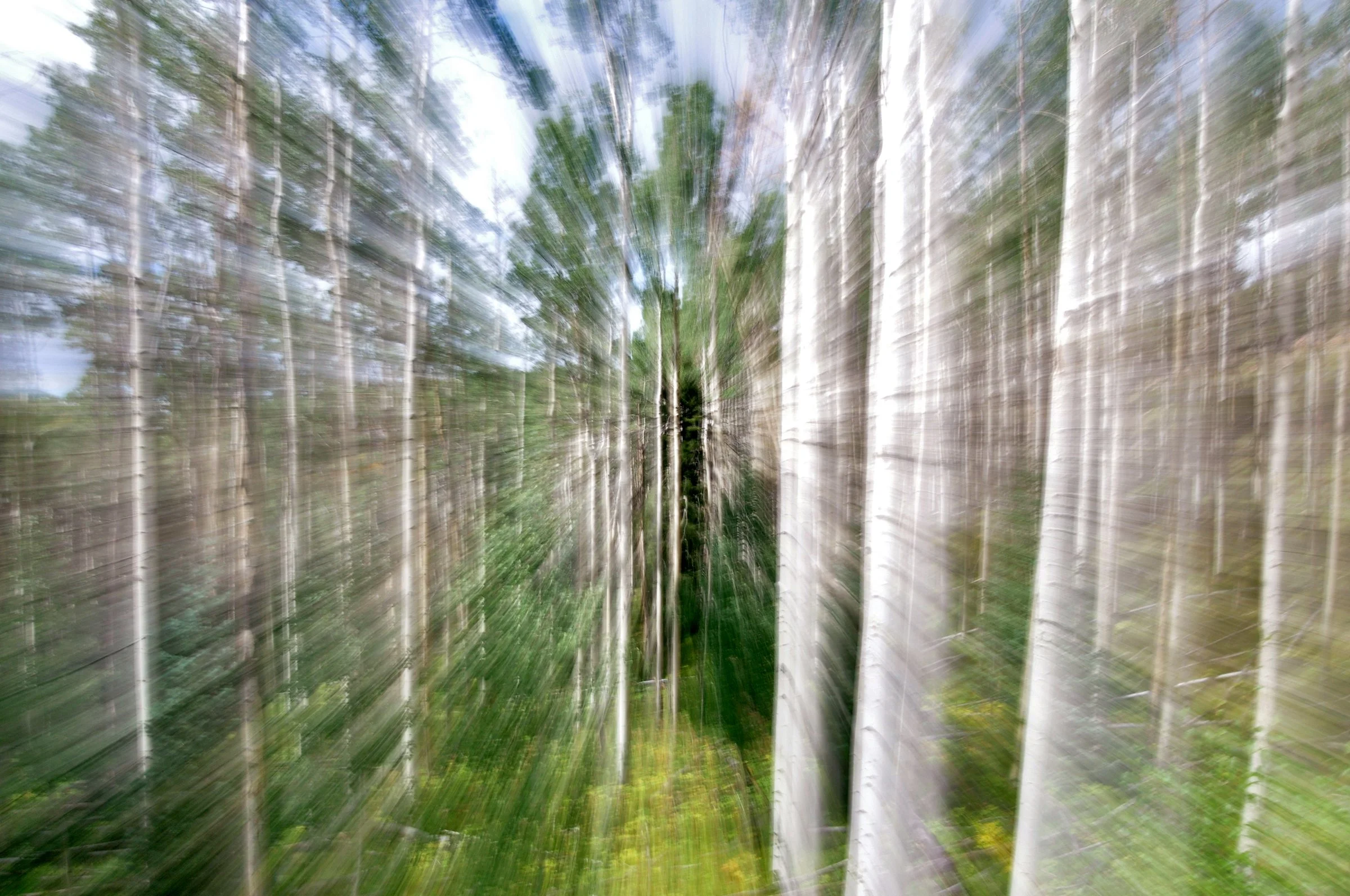 TRANSITION-C.Bratt- Rights Reserved x2400p for Pam.jpg
