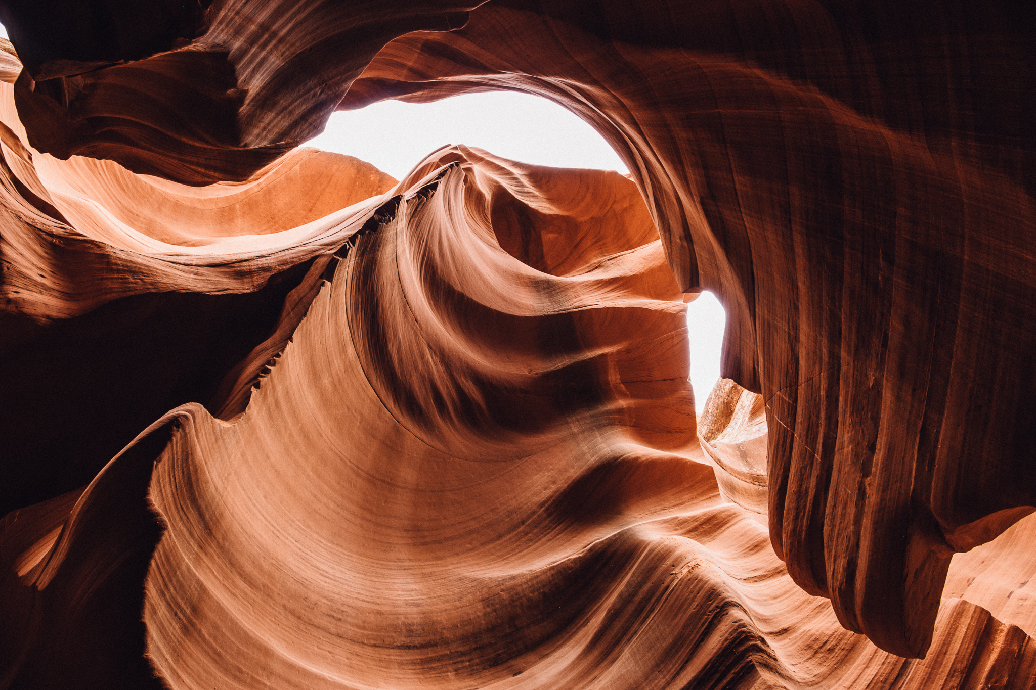 antelope-13.jpg