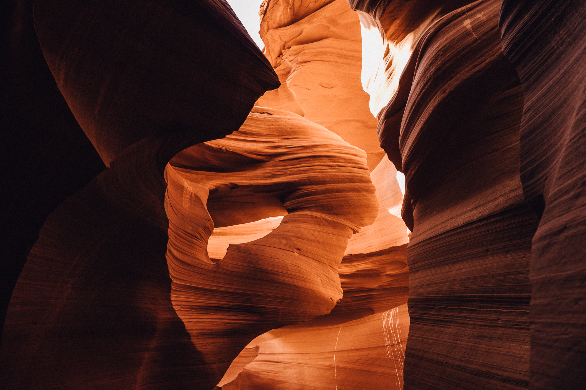 antelope-81.jpg