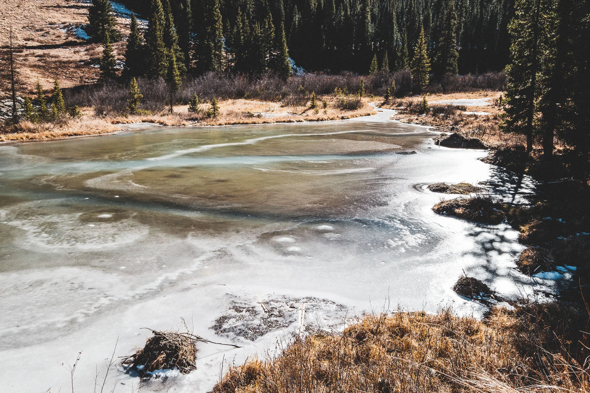 ice lake-008.jpg