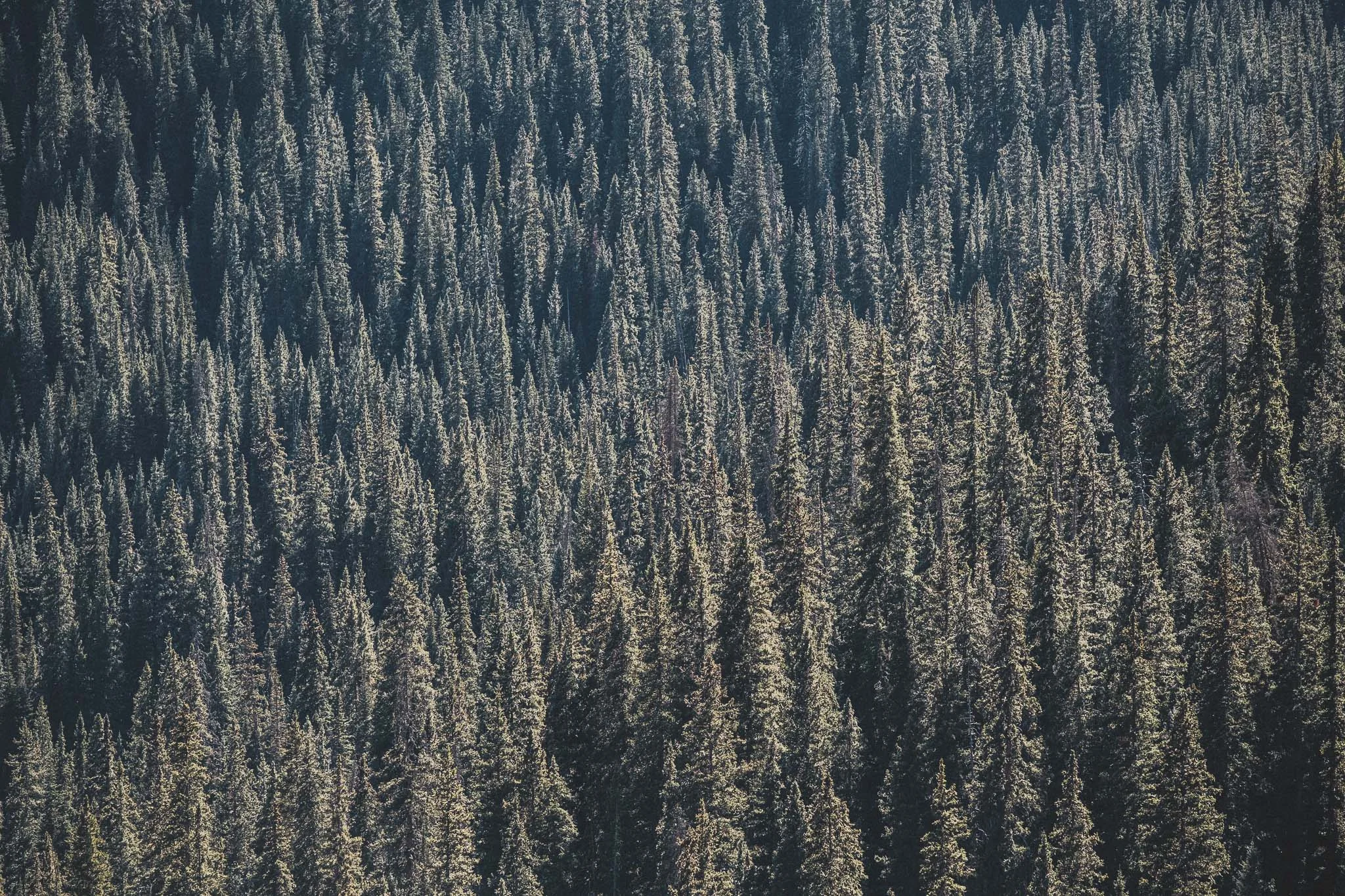 ice lake-021.jpg