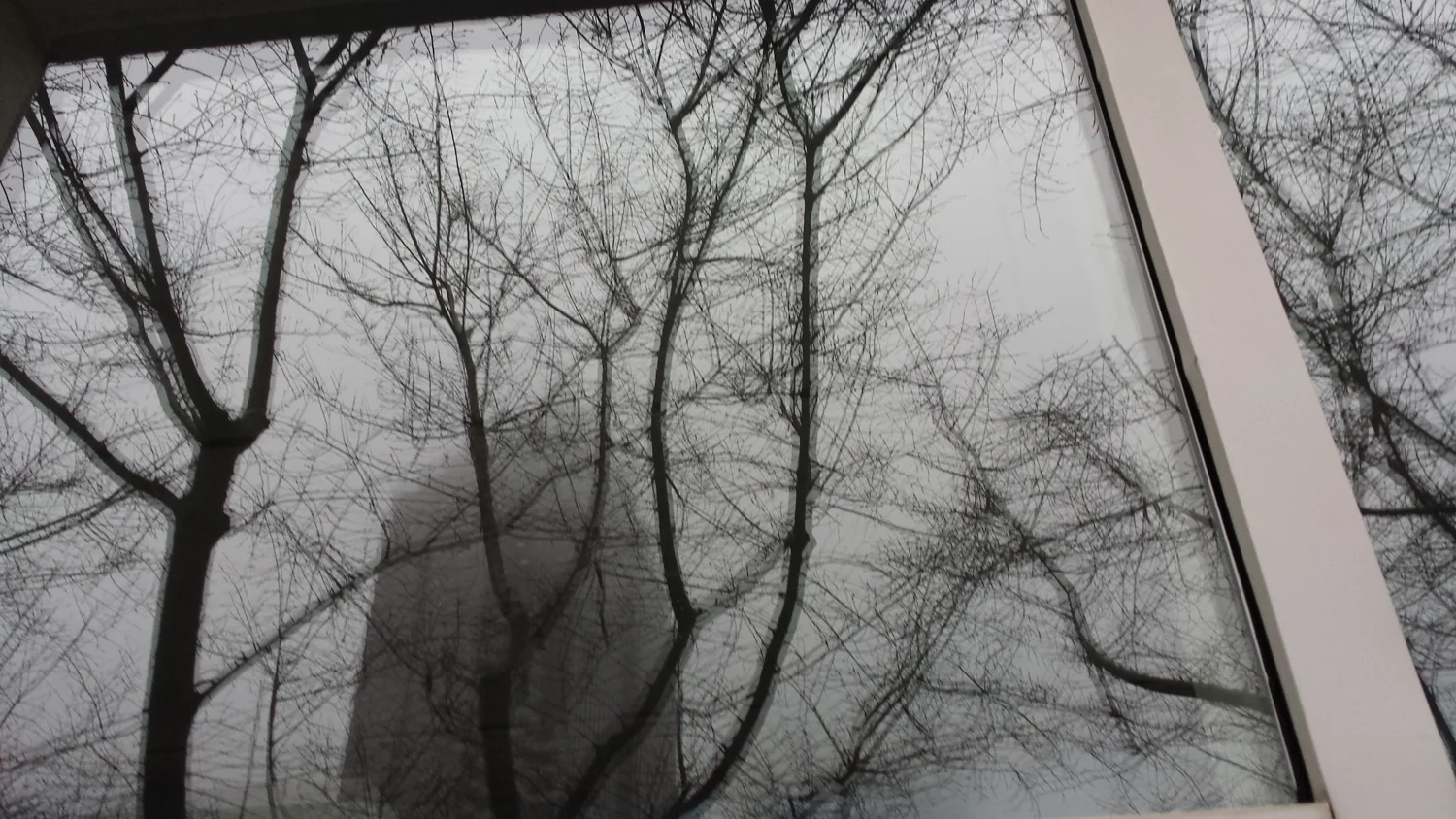 20131208_164105.jpg