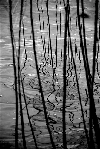 _DSC0089_500H.jpeg