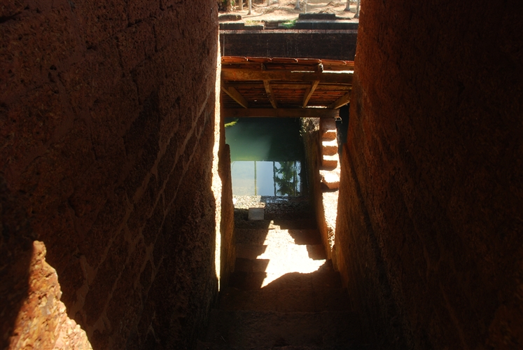 DSC_0828_500H.jpeg