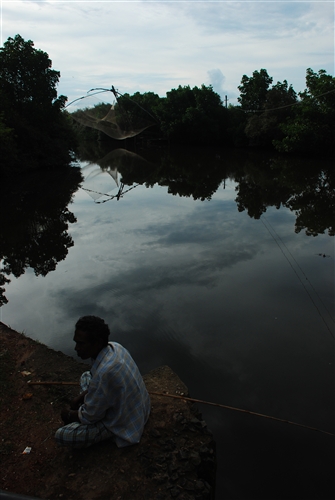 DSC_1568_500H.jpeg