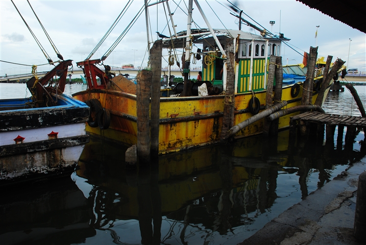 DSC_1629_500H.jpeg