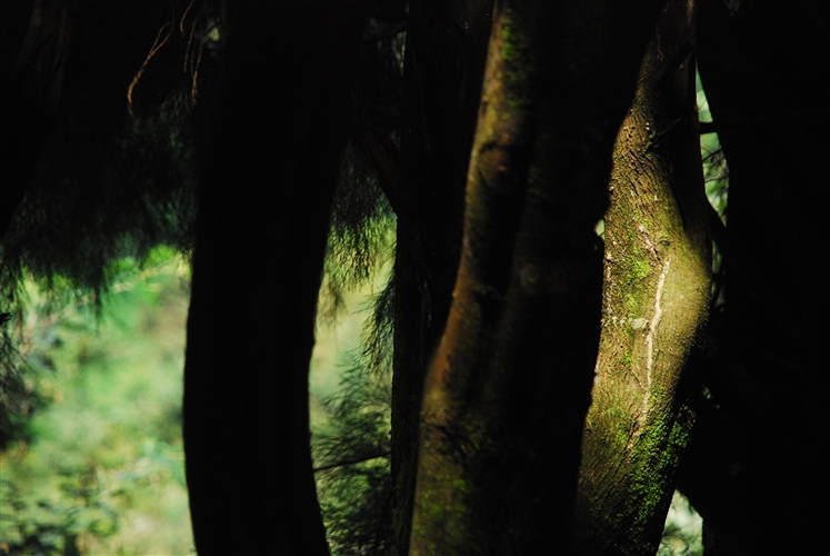 DSC_2760_500H.jpeg