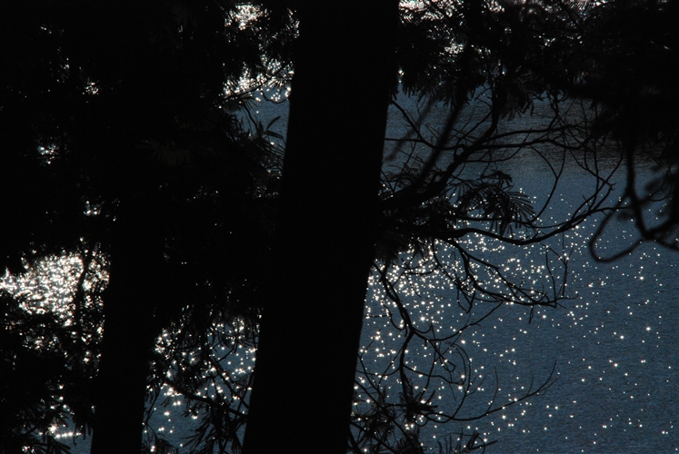 DSC_3440_500H.jpeg
