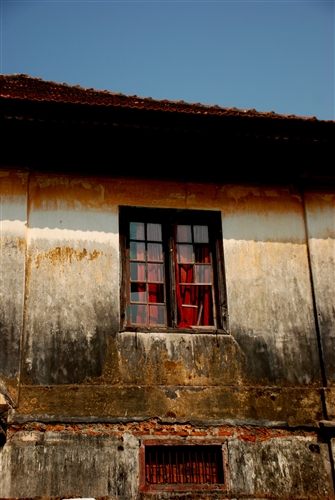 DSC_3749_500H.jpeg