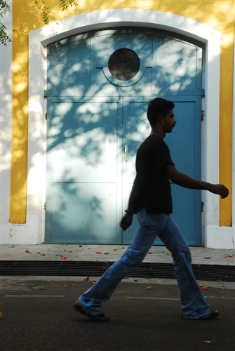 DSC_9056_500H.jpeg