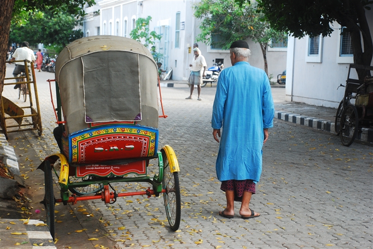 DSC_9194_500H.jpeg