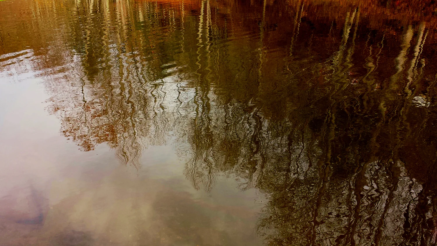 20131104_113348 copy.jpg