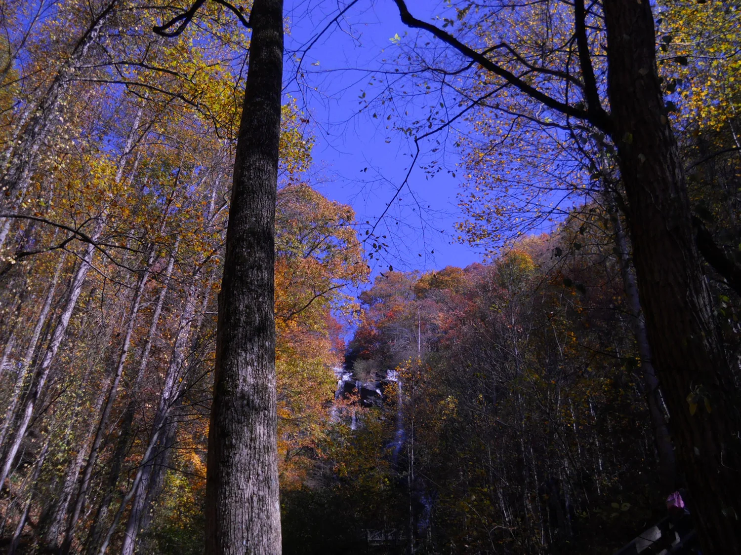 DSCN0379.jpg
