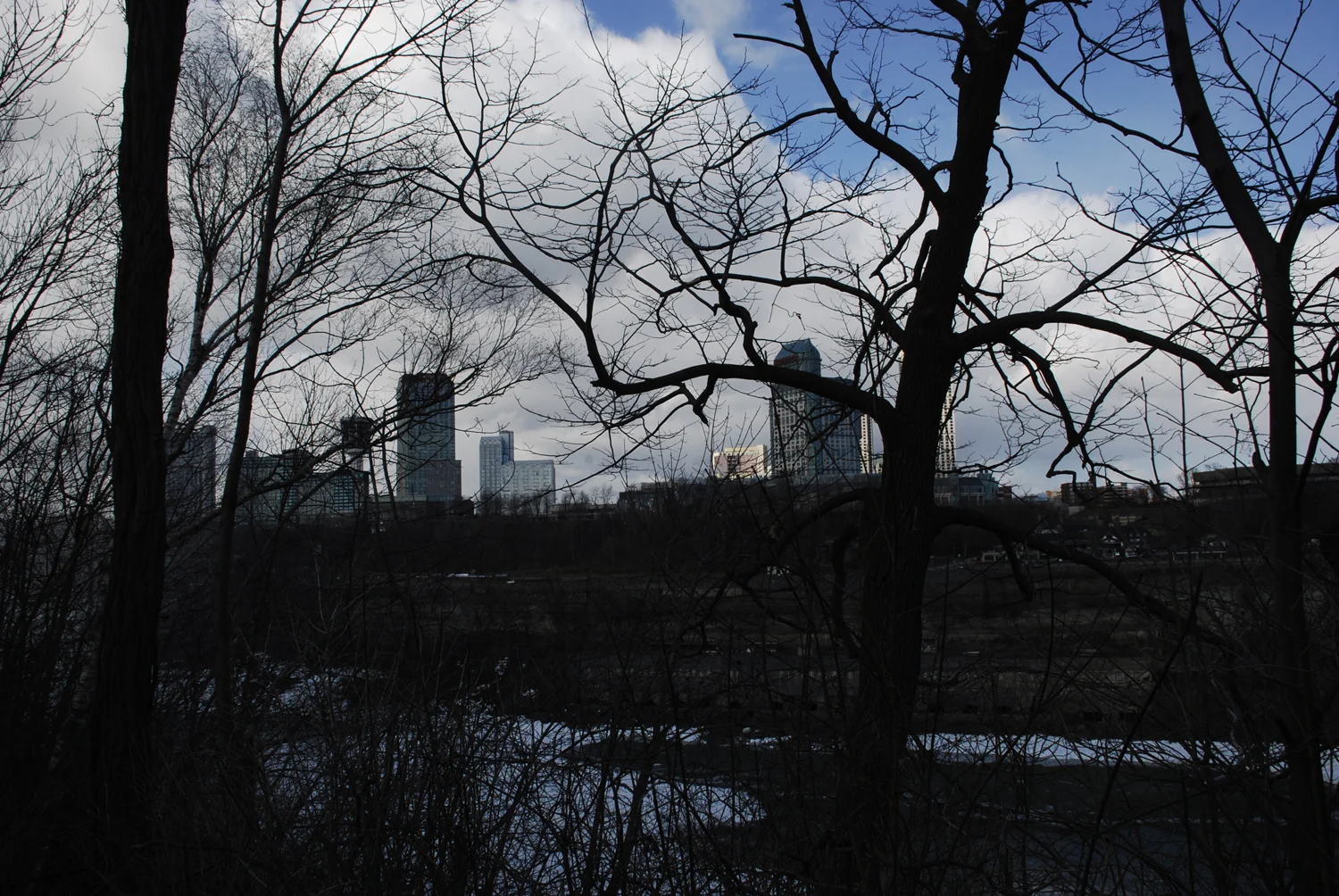 _DSC7648.jpg