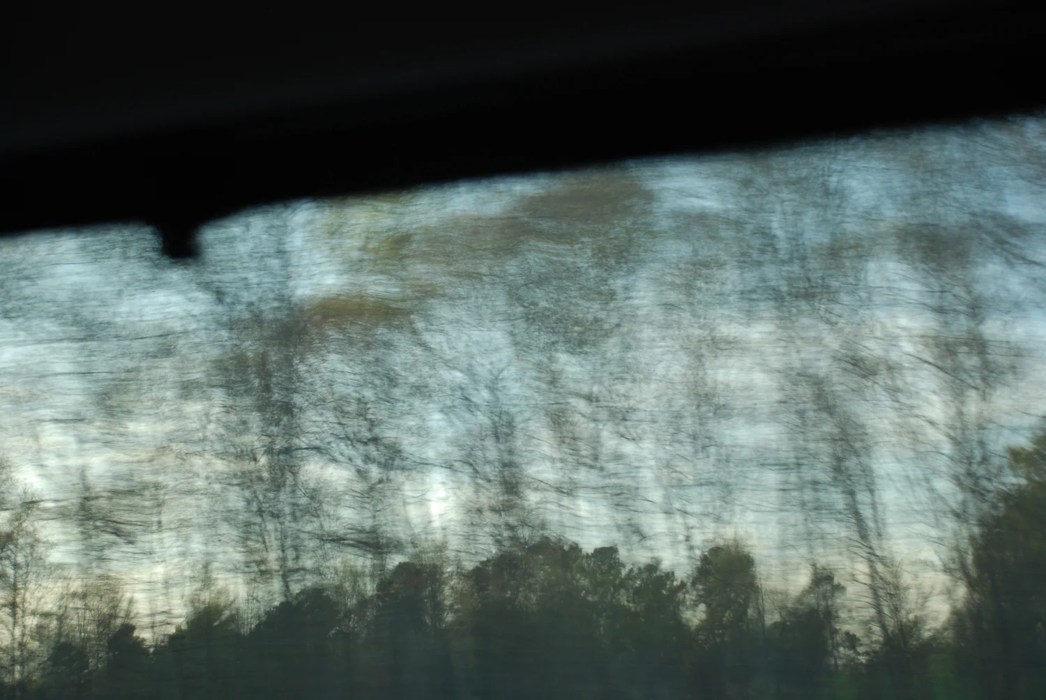 DSC_0834.jpg