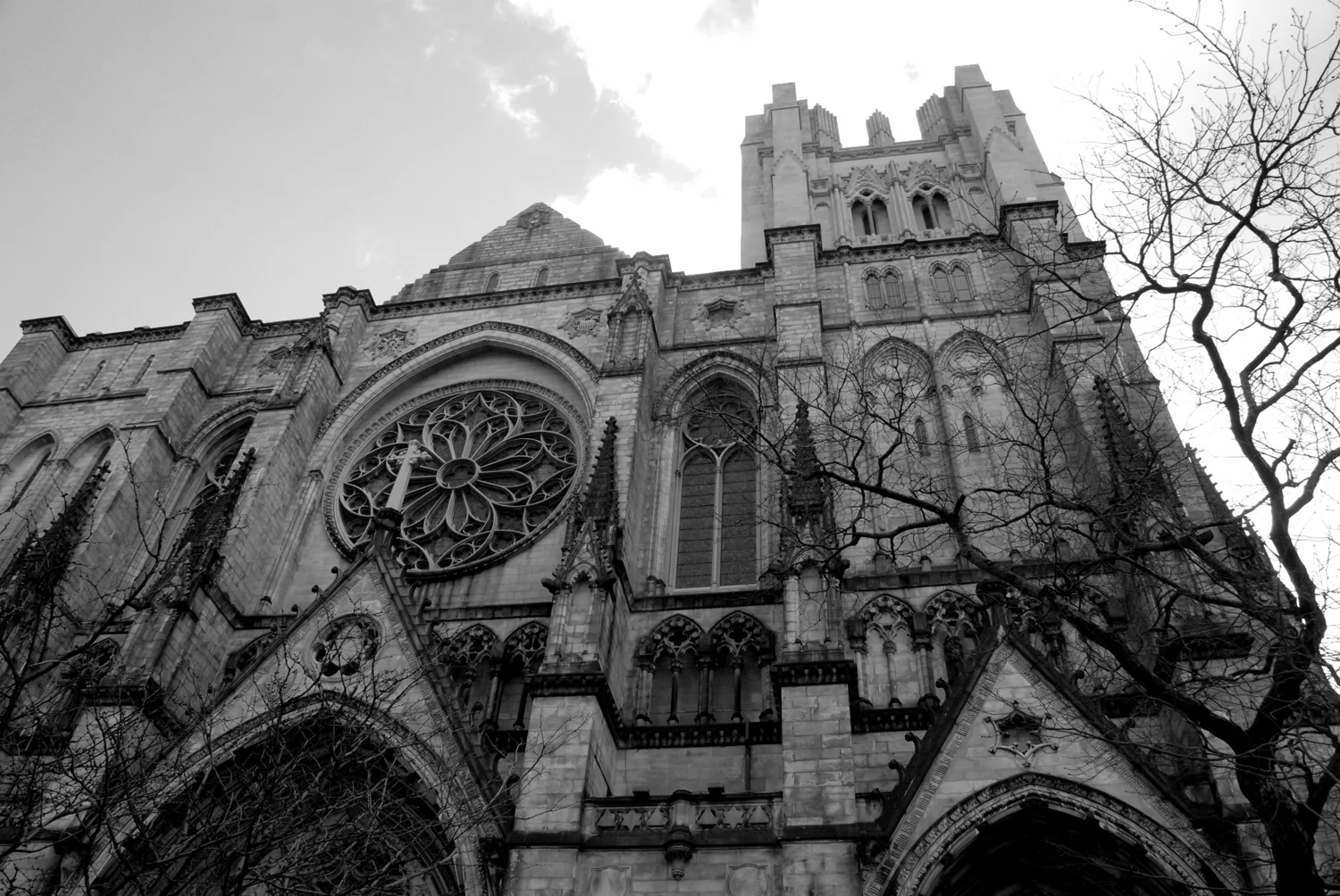 DSC_7935 copy.jpg