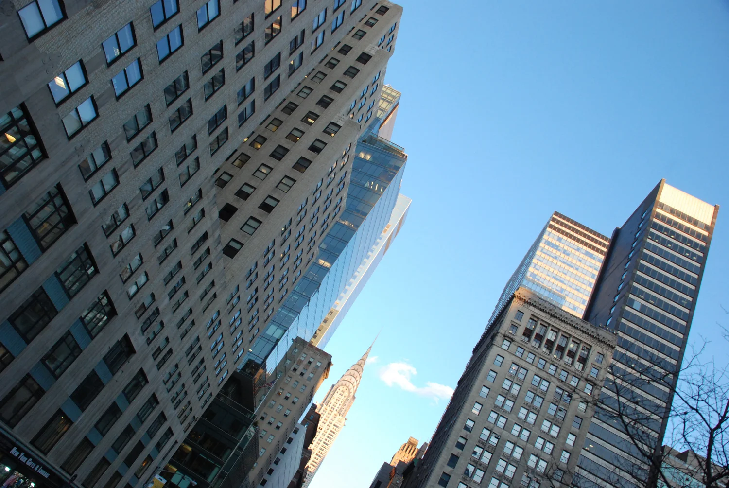 DSC_8632.jpg