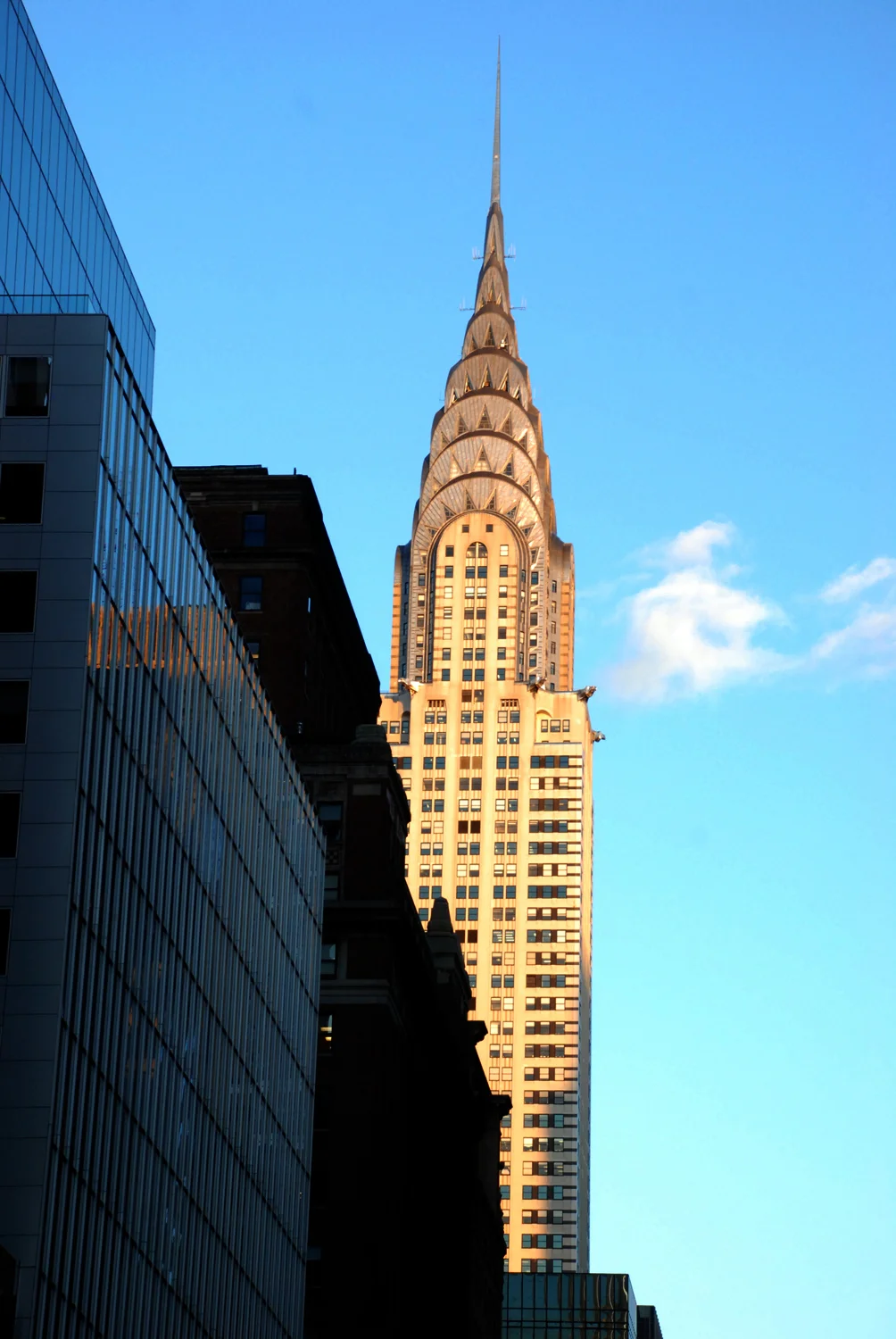 DSC_8645.jpg
