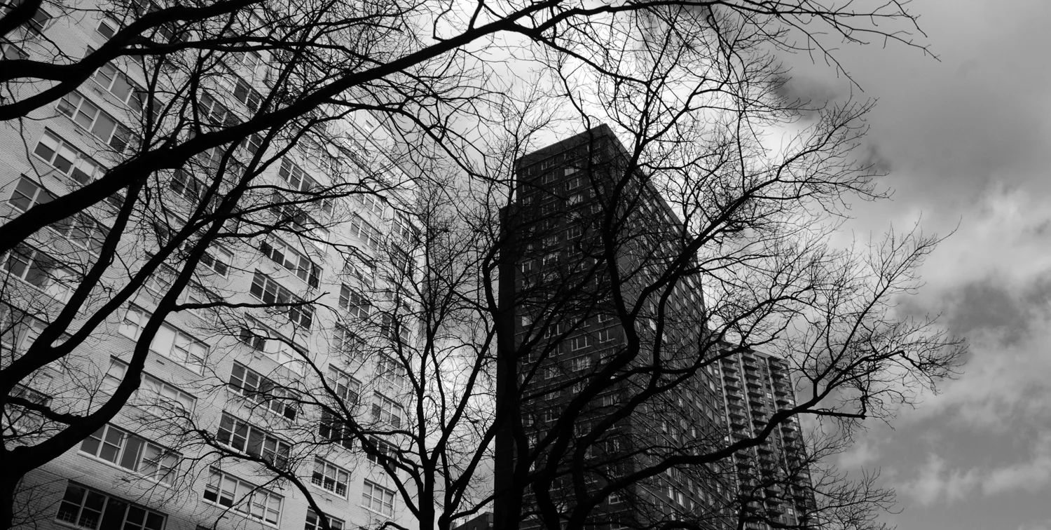 DSC_7852 copy.jpg