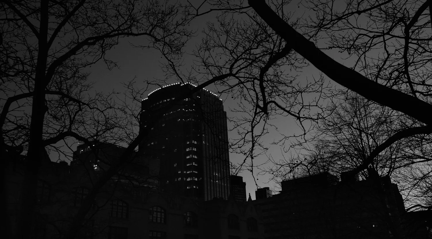 DSC_8826 copy.jpg