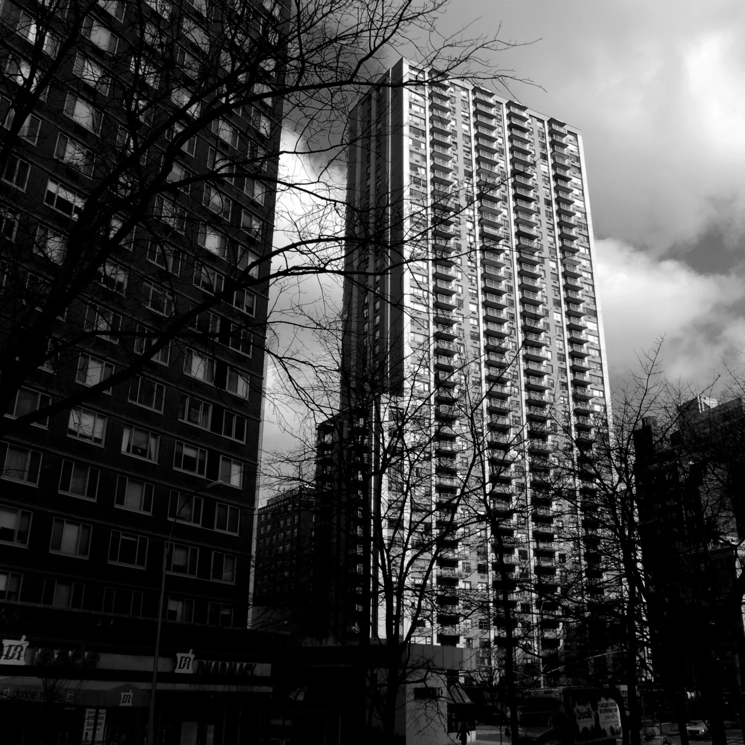 DSC_7856 copy.jpg