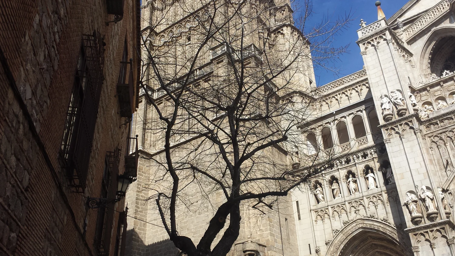 20160326_162408.jpg