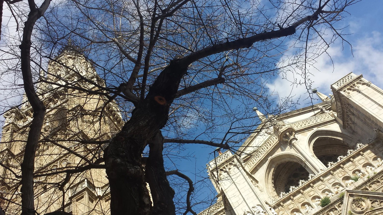 20160326_162442.jpg