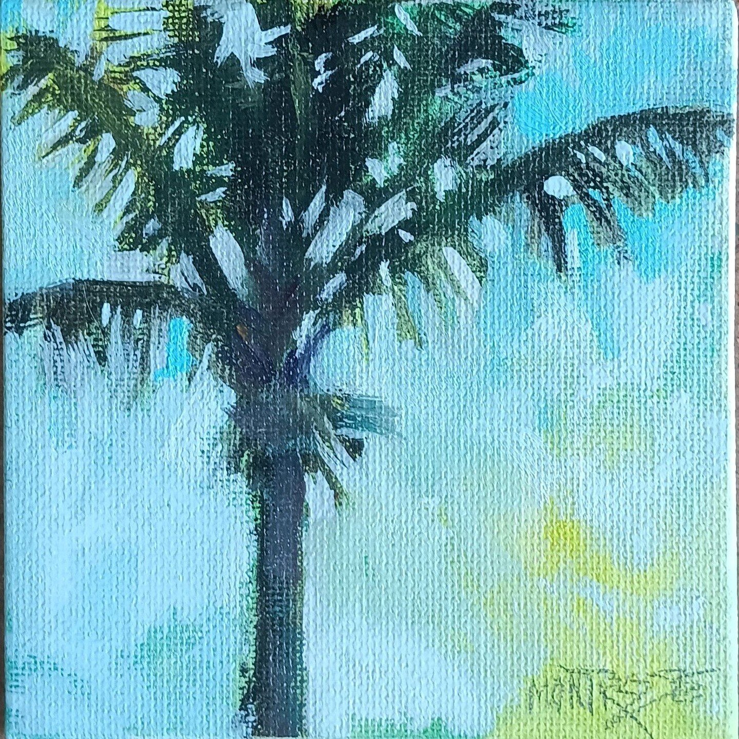 12/100
Another Hawaii palm tree! I had a bright green under painting on this and I couldn't resist letting some of that show. 
.
.
.
@dothe100dayproject 
#oilpaintingteacher #Sandiegoartist #artclass #oilpaintingclass #sandiegoartclass #youngartist #