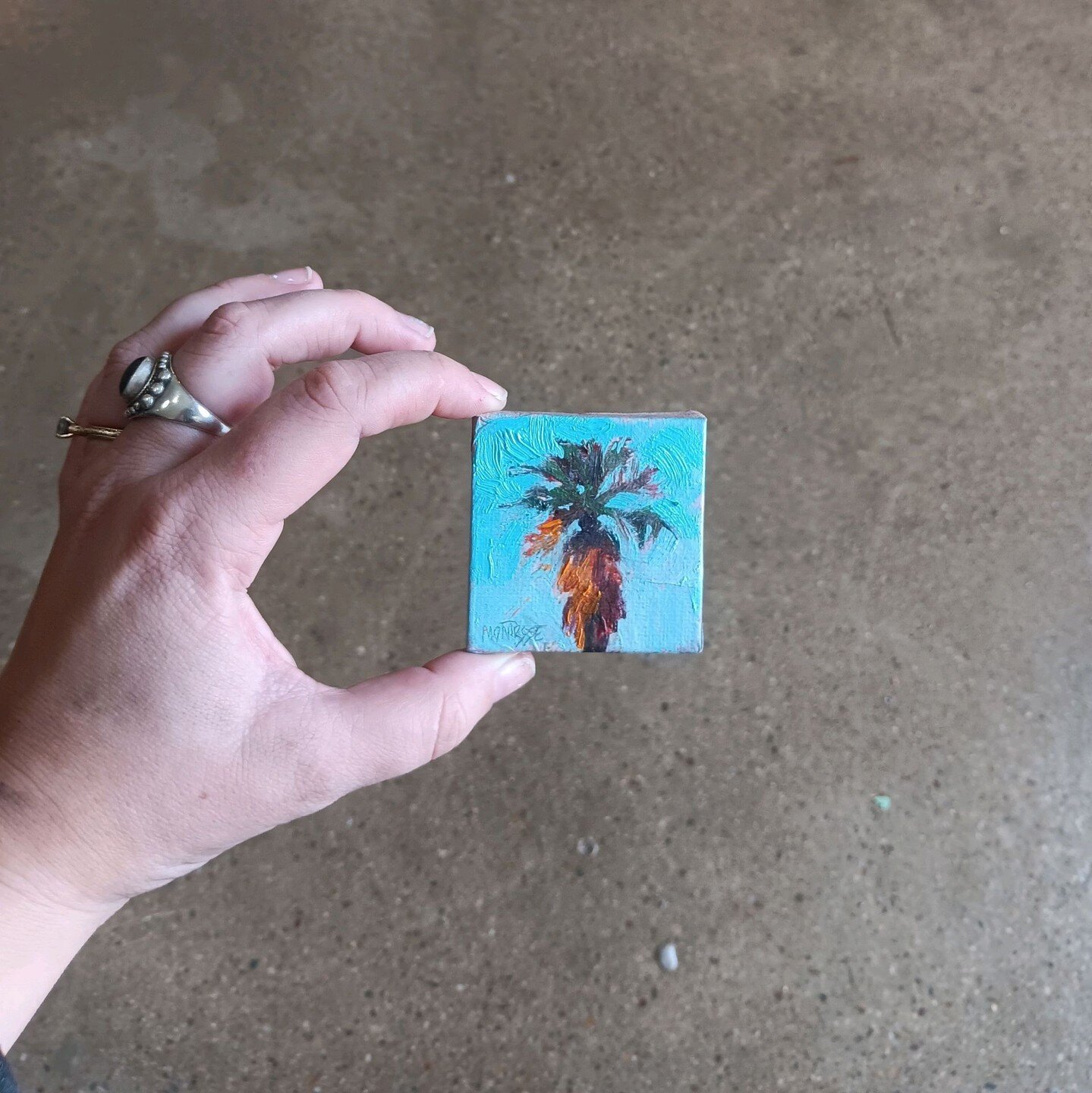 13/100 
Such a teeny one! Really enjoyed doing this one. 
.
@dothe100dayproject 
#artclasses #oilpaintingclass #the100dayproject #the100dayproject2024 #smallpainting #femalepainter #palmtree #youngartist #palmtreepainting #painteveryday #oilpaintingt