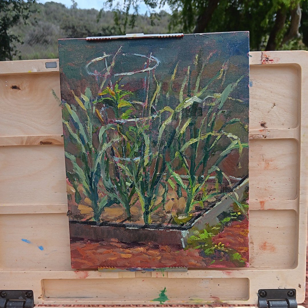 Painting from my friend's garden! These garlic greens present such an interesting and difficult subject matter. 
.
.
.
#pleinairpainting #pleinairpril #pleinair #gardenlove #garlicgirl #garlicgirlie #gardengirl #gardengirlie #gallerywall #sandiegoart