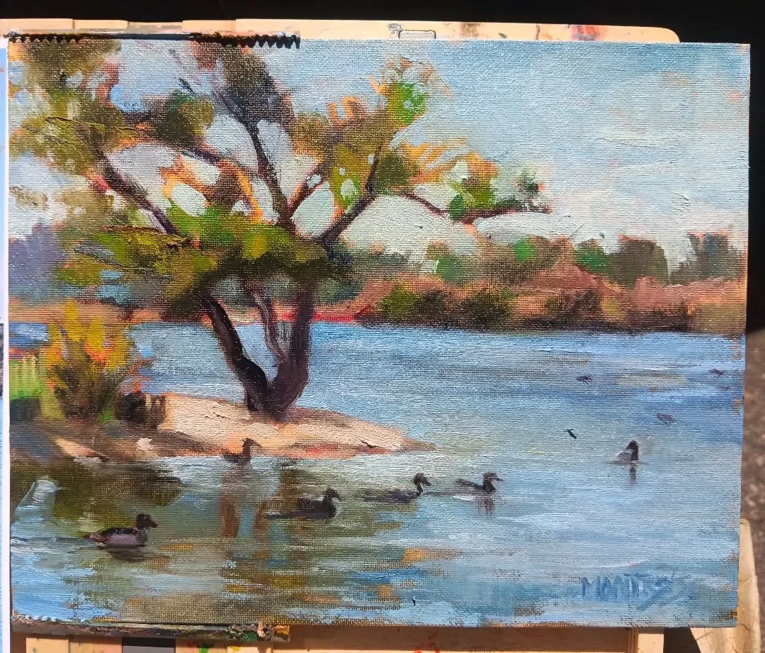 Painting I did of lake murray recently! I really hope they decide to keep it open. 
.
.
.
#pleinairpainter #lakemurray #sandiego #sandiegolakes #duckpond