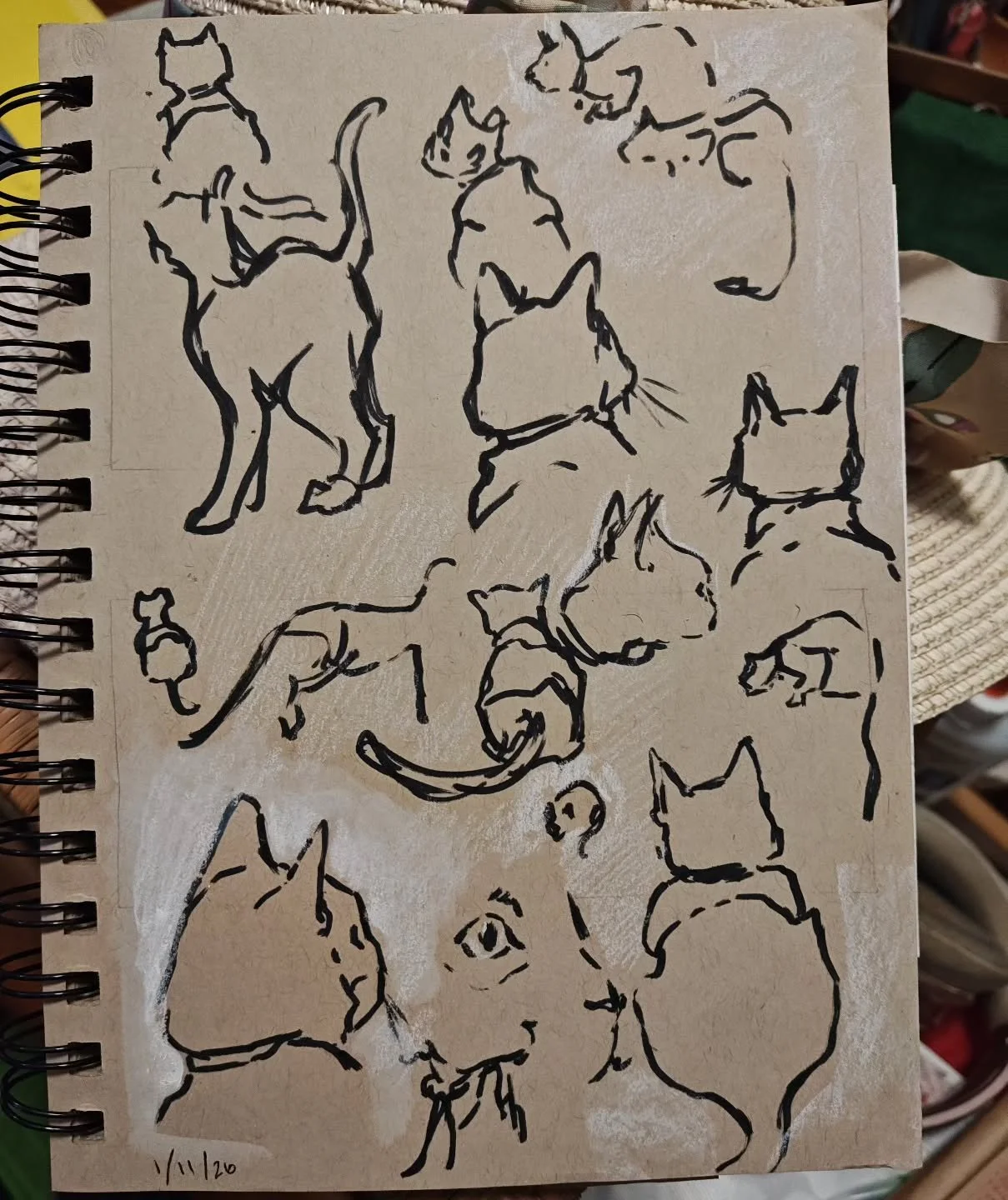 Day 11 #stradaeasel challenge. A page of cats from life. One of my cats is a couch boy and the other is always on the move. 
#catsketch #cats #catart #sketchbook