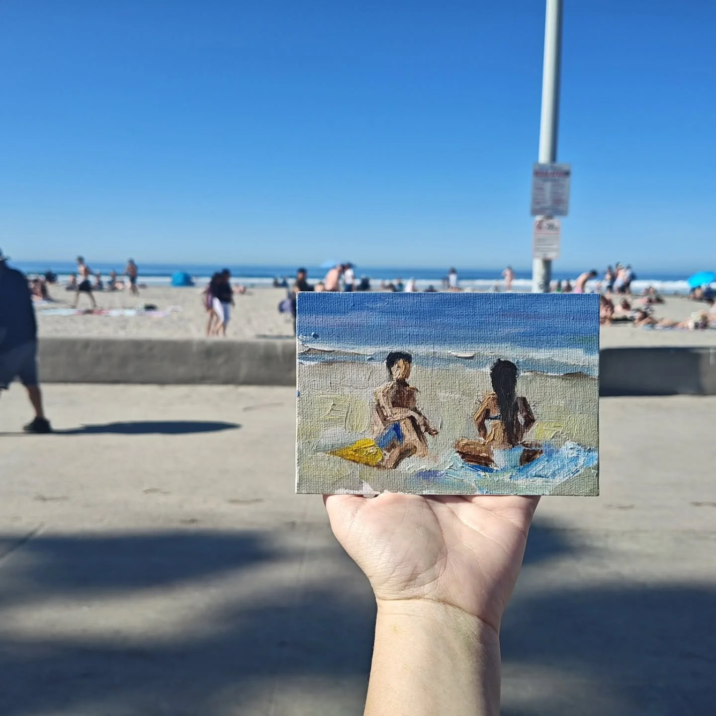 Day 30 #stradaeasel 
Several small ones at La Jolla Shores this afternoon