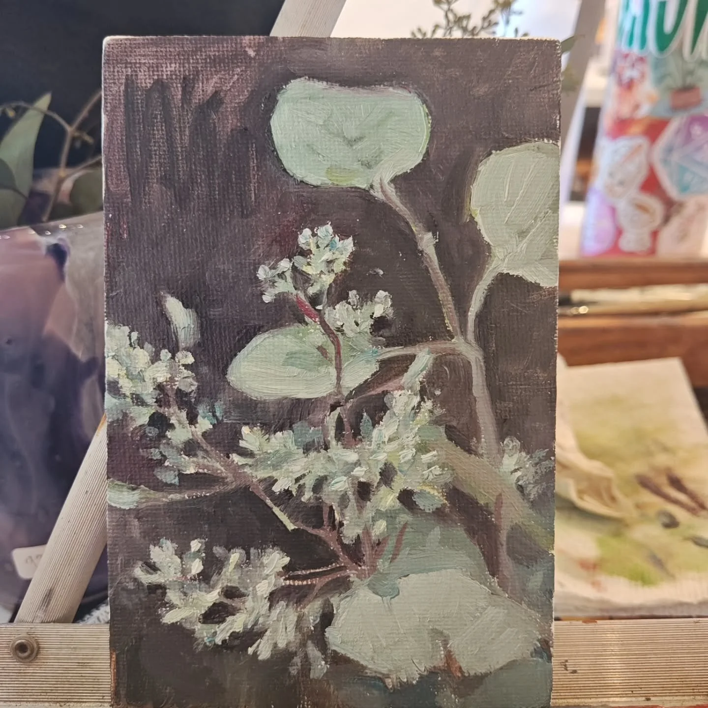 Day 16 #stradaeasel