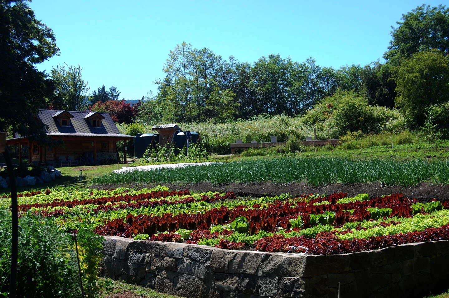 Harbour House backgarden.jpg