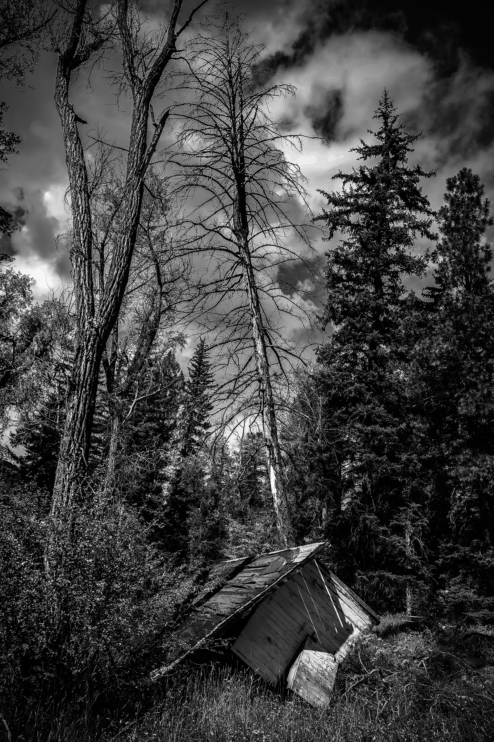 Abandoned Hourse.jpg