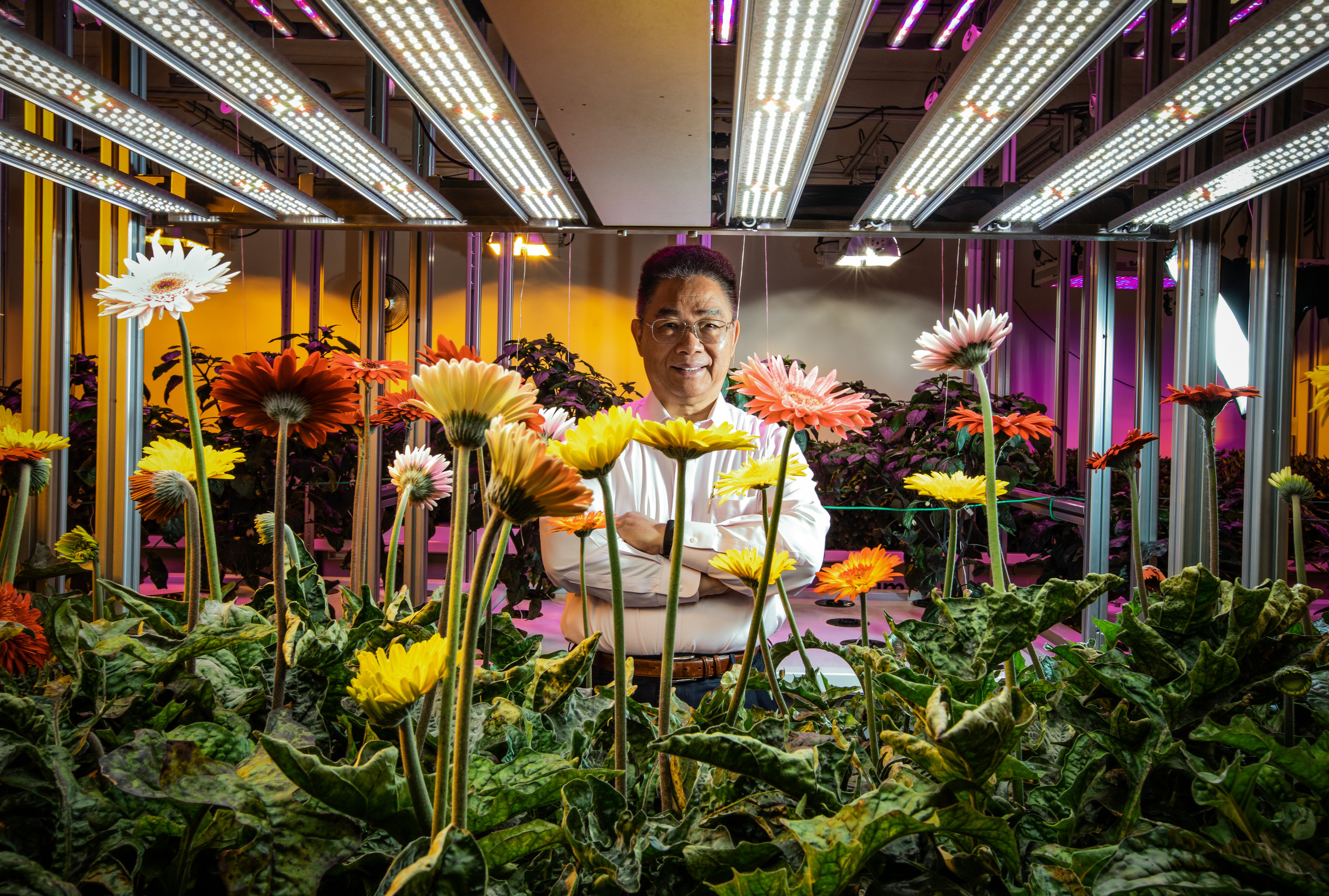  Bob Chen, CEO of AEssenseGrows a startup that’s trying to come up with alternate solutions to make food healthier through aeroponics. 