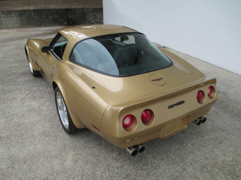 1981 Chevrolet Corvette Stingray - ol school garage (60).jpg