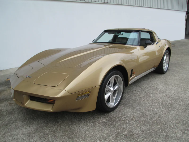 1981 Chevrolet Corvette Stingray - ol school garage (64).jpg
