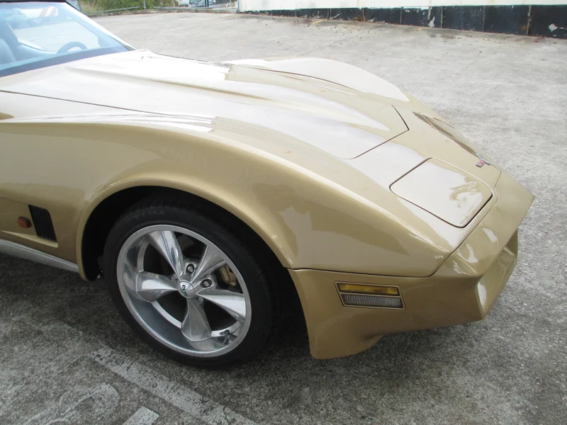 1981 Chevrolet Corvette Stingray - ol school garage (68).jpg