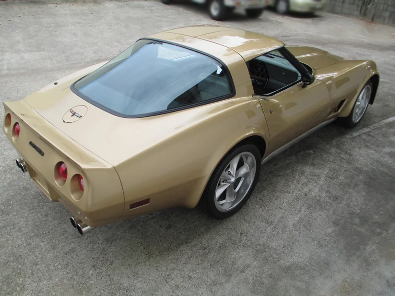 1981 Chevrolet Corvette Stingray - ol school garage (69).jpg