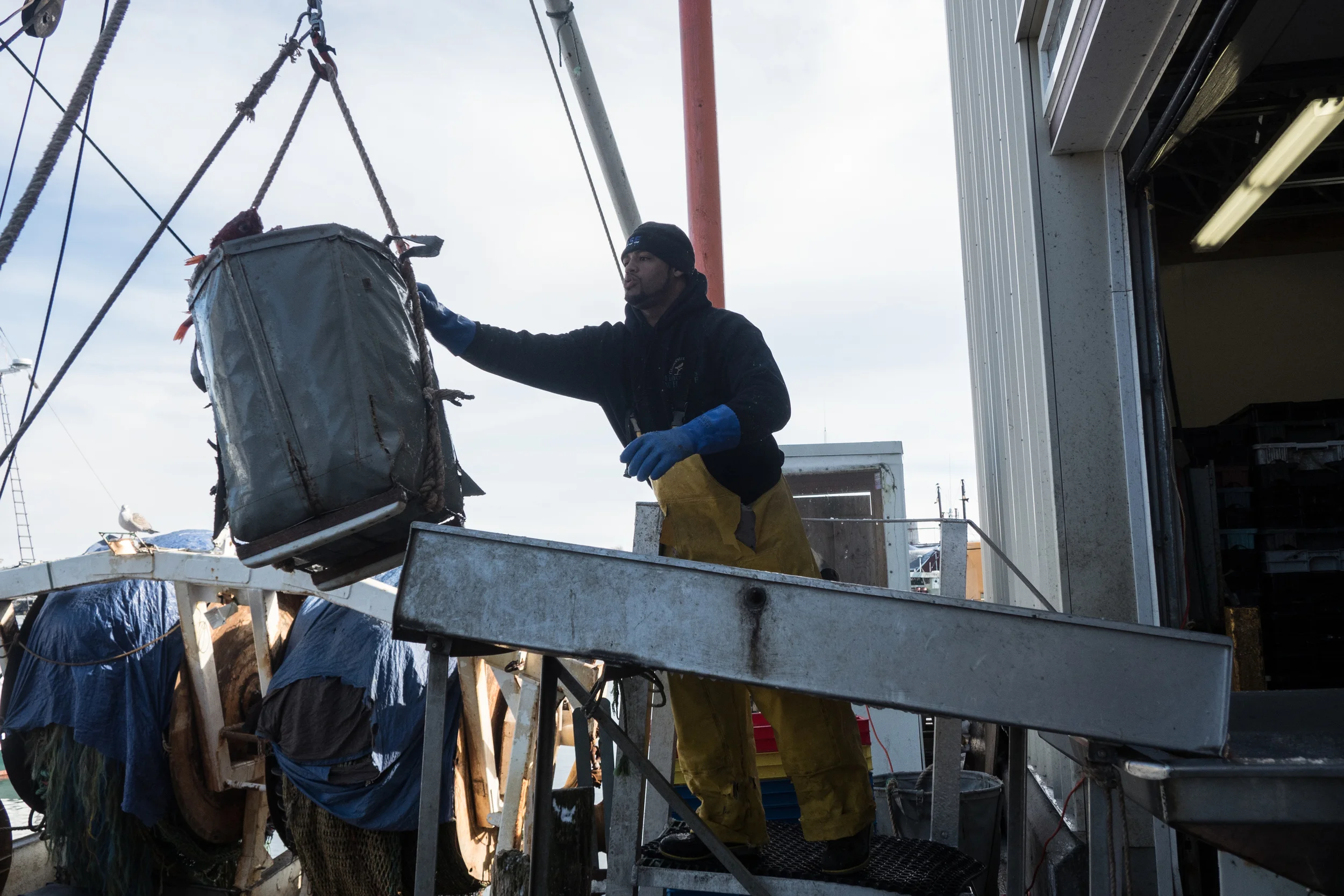   Angel brings in a Red Fish tote from one of the large fishing vessels. Angel has been fishing for three years, often in a freelancer role, during the slow season months he also works part time on the wharf to compensate for lack of crew member posi
