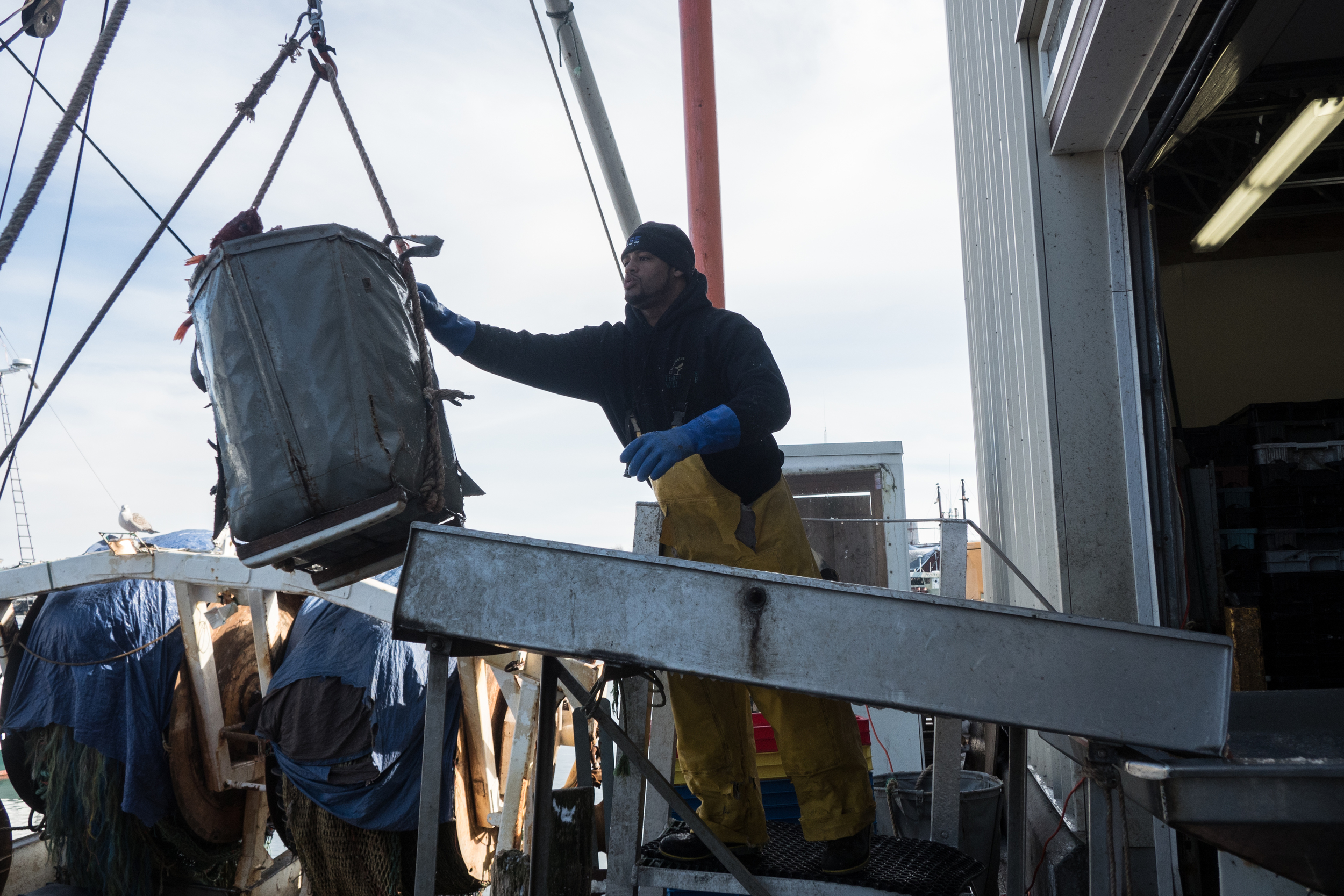 Angel brings in a Red Fish tote from one of the large fishing vessels. Angel has been fishing for three years, often in a freelancer role, during the slow season months he also works part time on the wharf to compensate for lack of crew member positions.