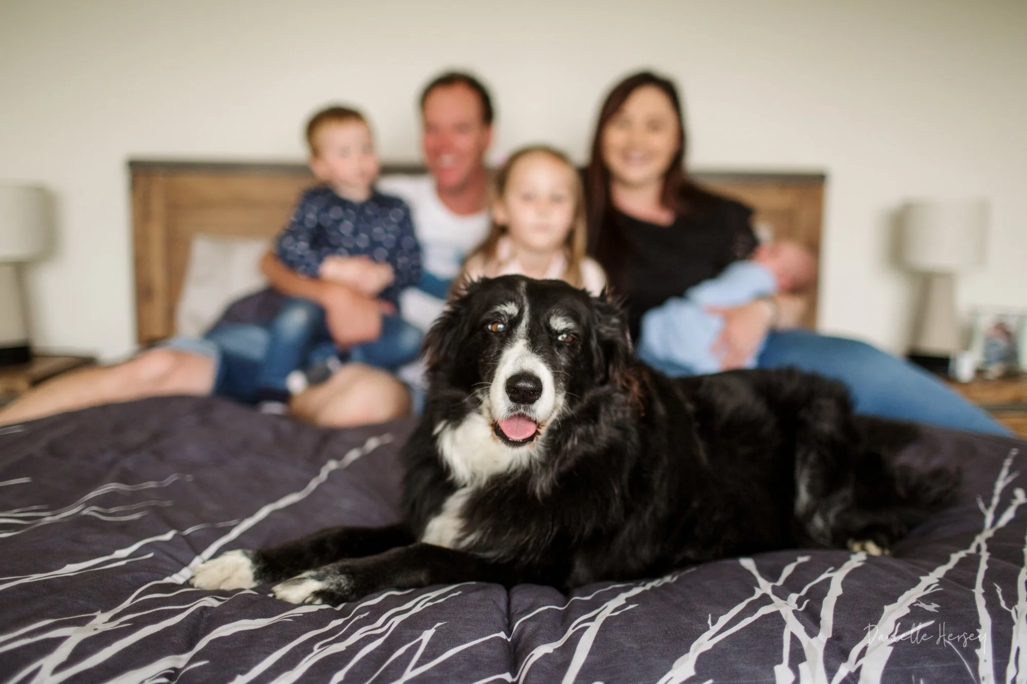 Mak&Familyweb-7.jpg