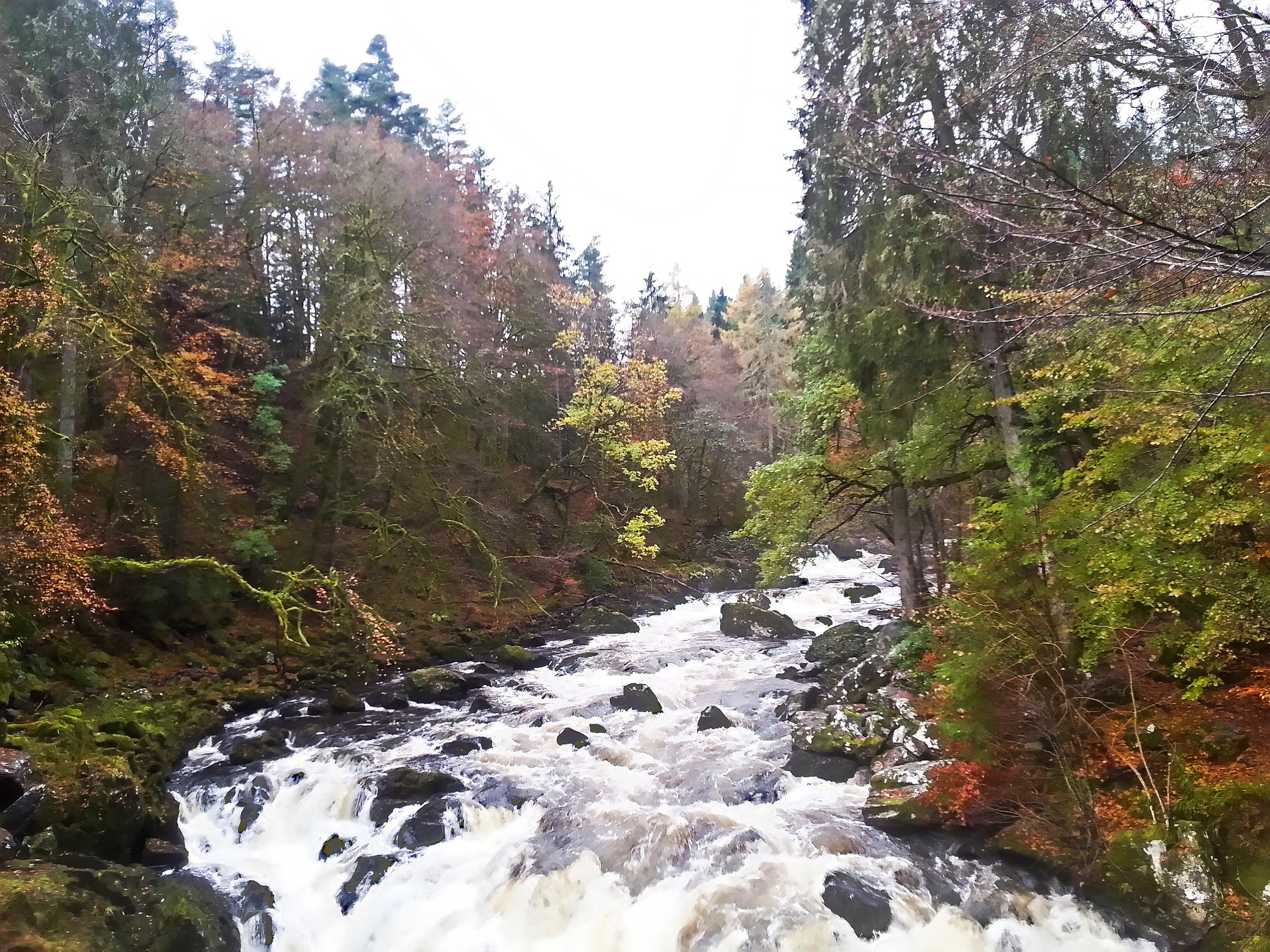 River Braan, The Hermitage.jpg