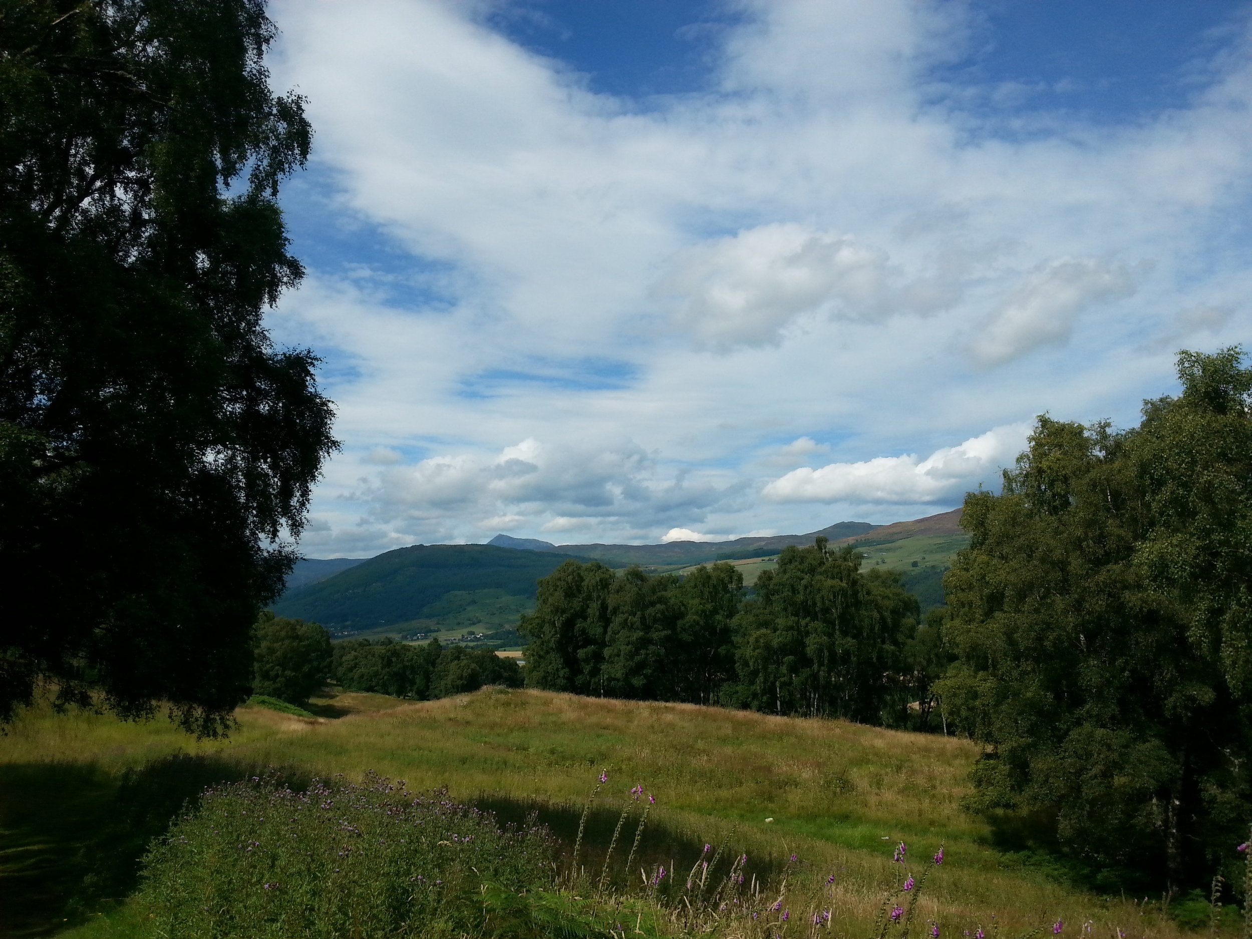 Rob Roy Way, nr Aberfeldy (2).jpg