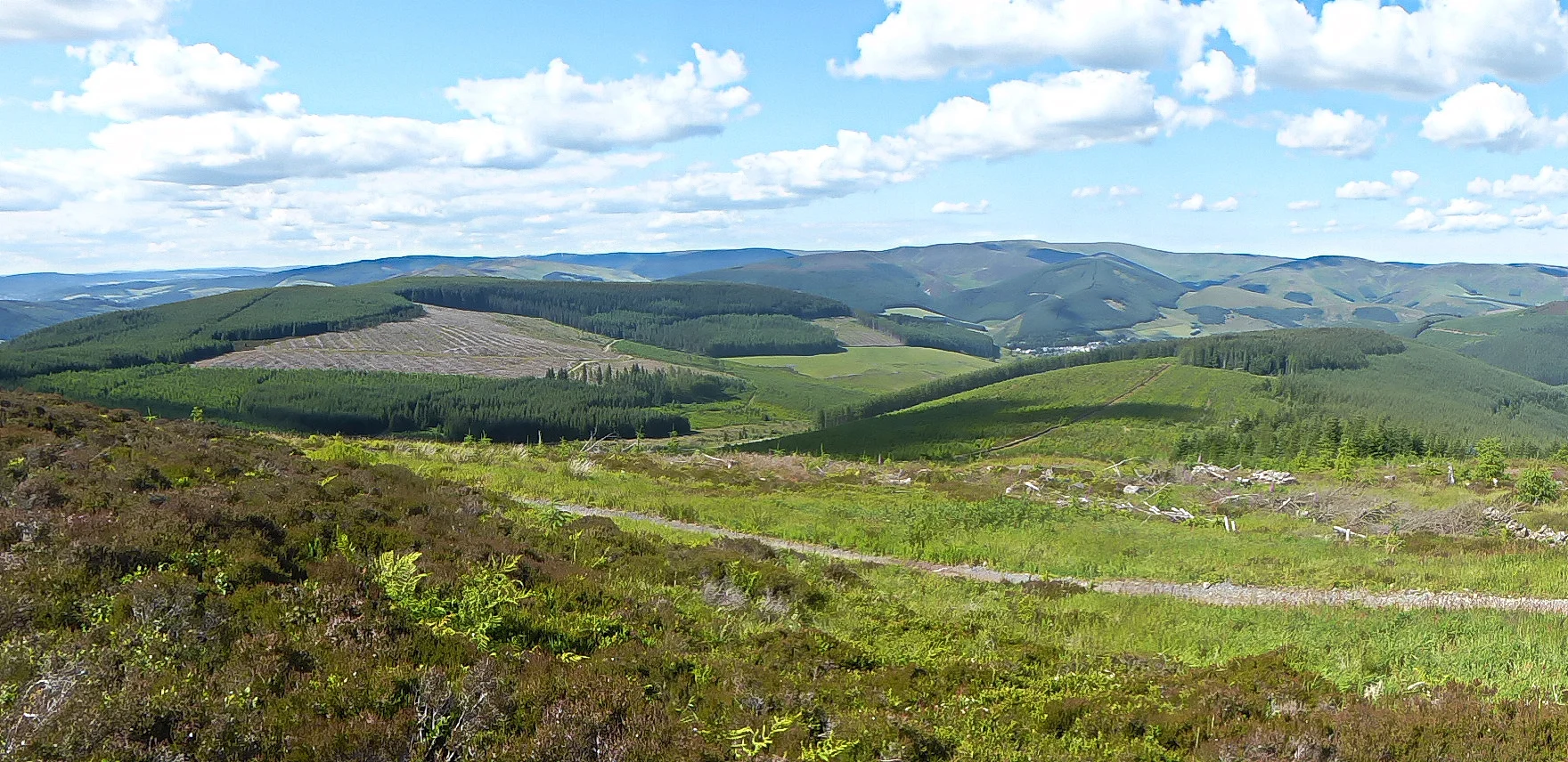 Southern Upland Way View (1 of 1).jpg