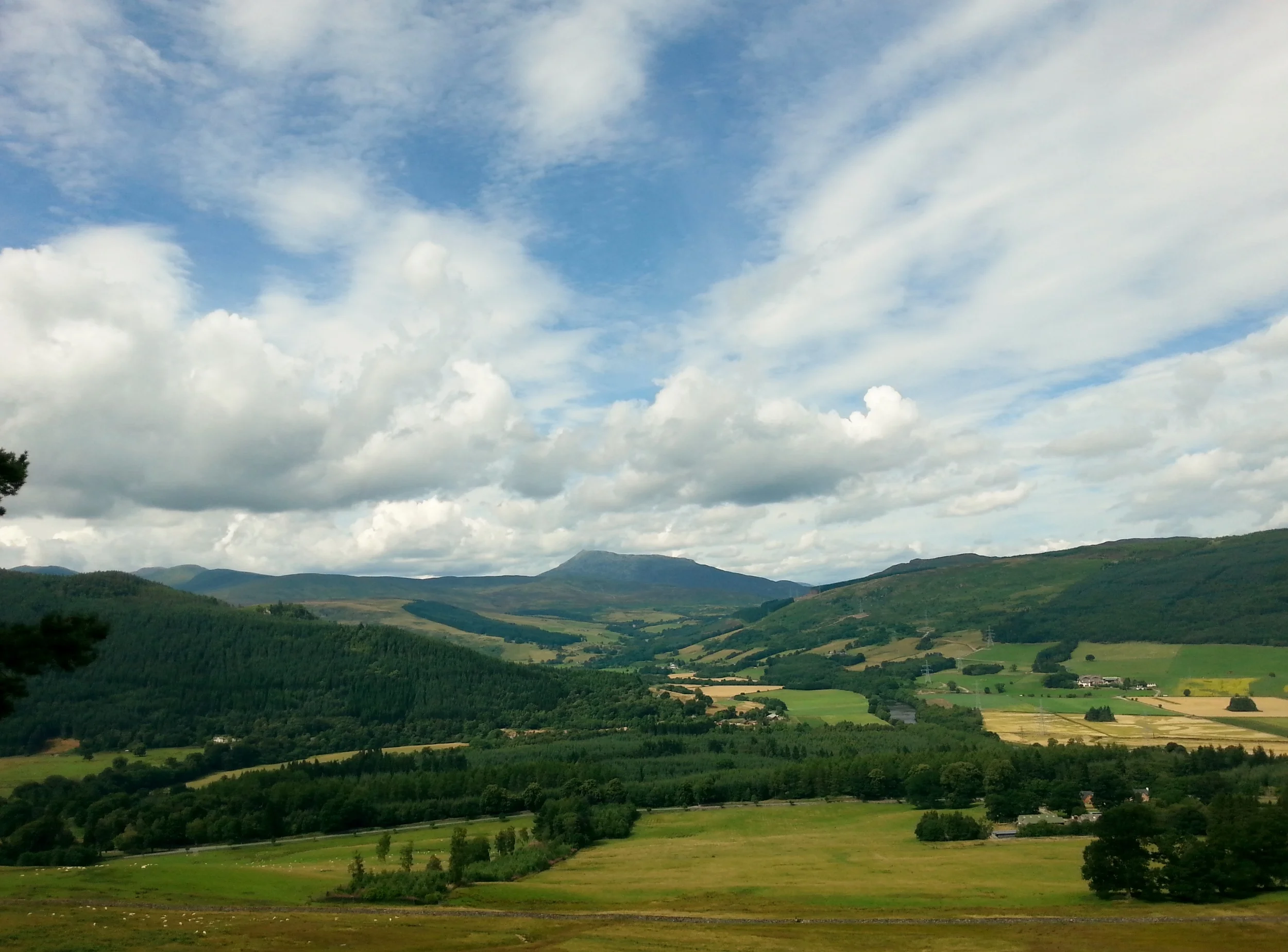 20130808_133200.jpg