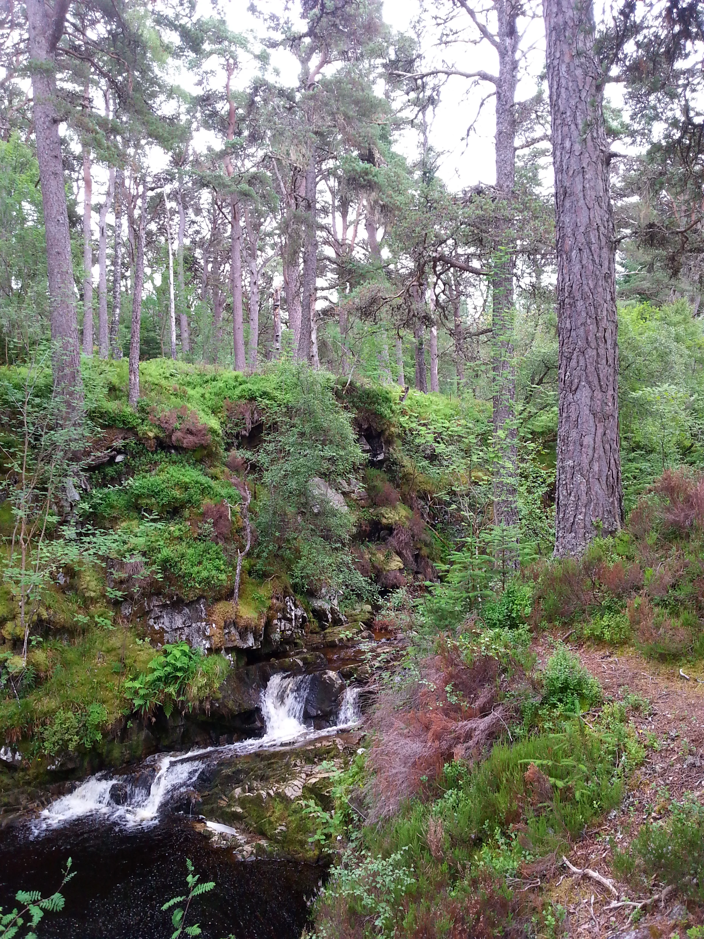20130809_150519.jpg